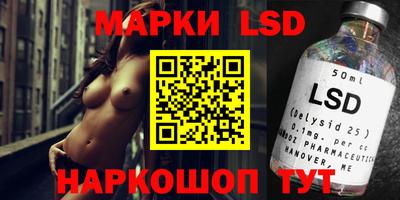 a pvp Дубна