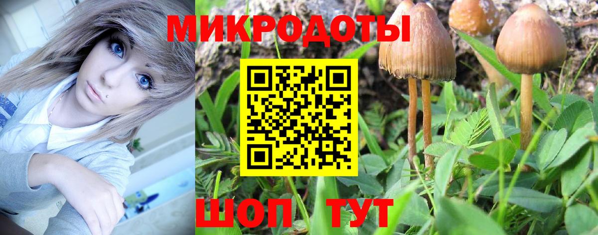 Псилоцибиновые грибы MAGIC MUSHROOMS Зеленогорск