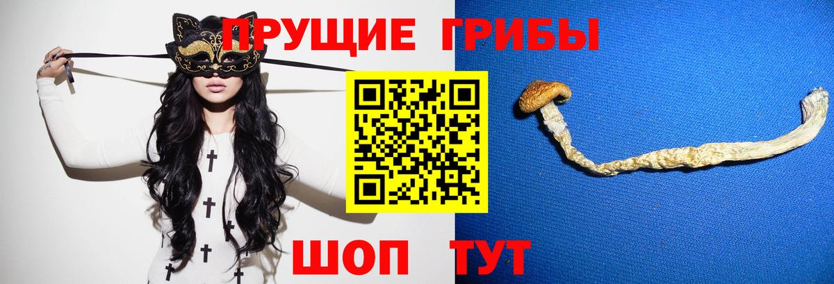 Галлюциногенные грибы ЛСД  где продают наркотики  Псилоцибиновые грибы ЛСД  Зеленогорск  Вход с VPN 