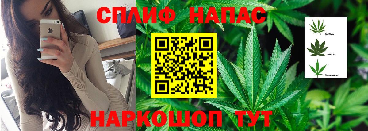 Зеленогорск  Конопля гибрид  Бошки марихуана MAZAR  Каннабис LSD WEED  Конопля SATIVA & INDICA  Вход с VPN 